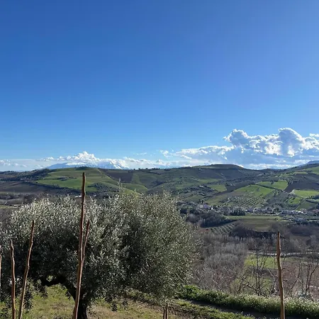 Serene Ground-floor With Private Pool In Apartment Castilenti