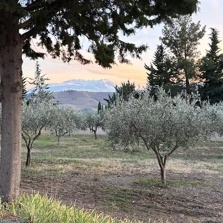 Serene Ground-floor With Private Pool In * Castilenti
